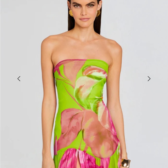 Retrofete Green and Pink Silk Gown. NWT. - Picture 4 of 6